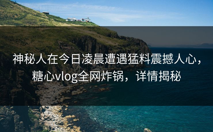 神秘人在今日凌晨遭遇猛料震撼人心，糖心vlog全网炸锅，详情揭秘