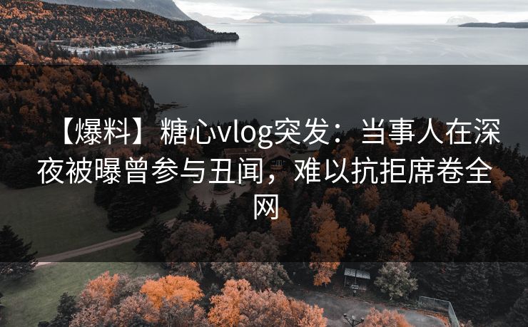 【爆料】糖心vlog突发：当事人在深夜被曝曾参与丑闻，难以抗拒席卷全网