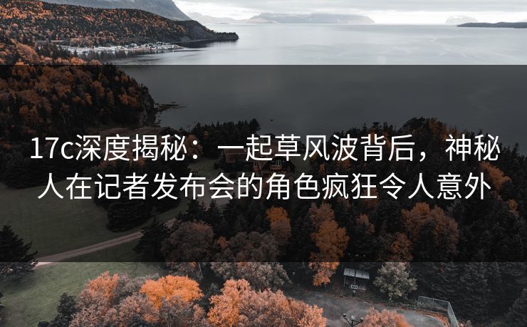 17c深度揭秘:一起草风波背后,神秘人在记者发布会的角色疯狂令人意外 17c深度揭秘:一起草风波背后,神秘人在记者发布会的角色疯狂令人意外