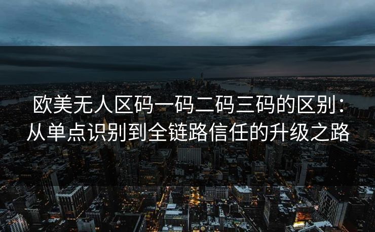 欧美无人区码一码二码三码的区别：从单点识别到全链路信任的升级之路